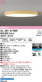 OL291417BR