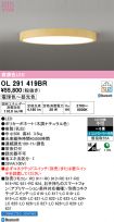 OL291419BR