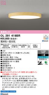 OL291419BR