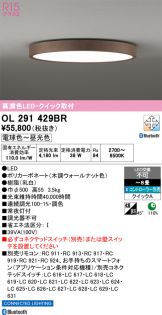 OL291429BR