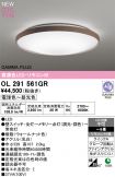 OL291561GR