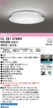 OL291579BR