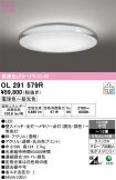 OL291579R