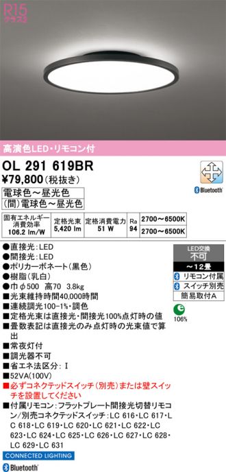 OL291619BR