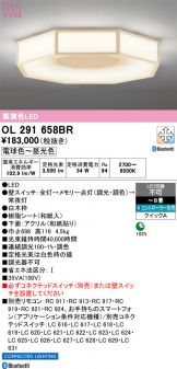 OL291658BR