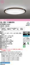 OL251119BCR1