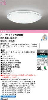 OL251197BCR2