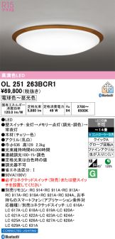 OL251263BCR1