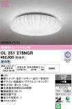 OL251278NGR