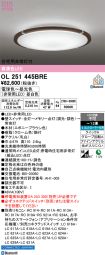 OL251445BRE