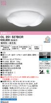 OL251527BCR