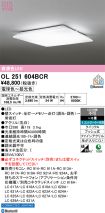 OL251604BCR