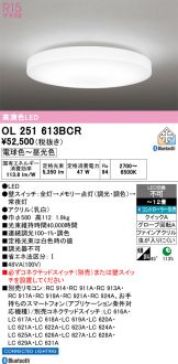 OL251613BCR