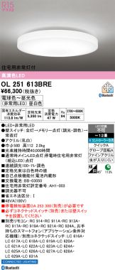 OL251613BRE