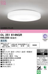 OL251614NGR