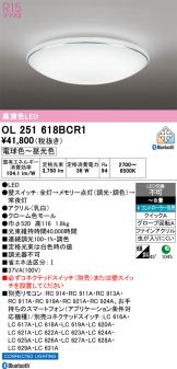 OL251618BCR1
