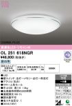 OL251618NGR