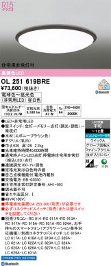 OL251619BRE