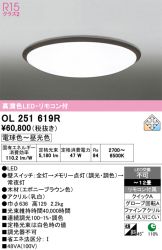 OL251619R