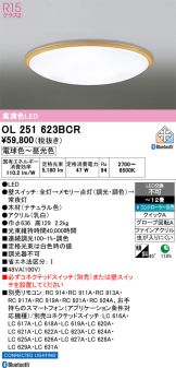 OL251623BCR
