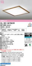 OL251627BCR