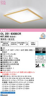 OL251630BCR