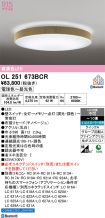 OL251673BCR