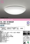 OL251816NGR