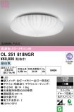 OL251818NGR