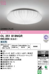 OL251818NGR