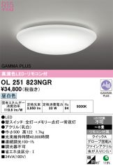 OL251823NGR