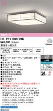OL251838BCR