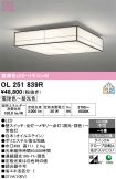 OL251839R
