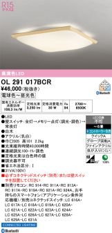 OL291017BCR
