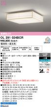 OL291024BCR