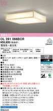 OL291096BCR