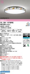 OL291157BRE