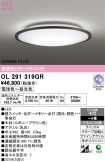 OL291319GR