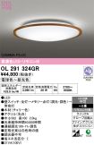 OL291324GR