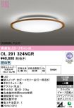 OL291324NGR