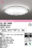 OL291349R