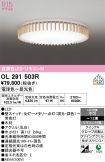 OL291503R
