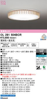 OL291504BCR