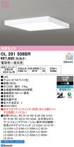 OL291508BR