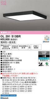 OL291513BR