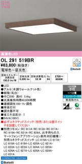 OL291519BR
