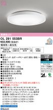 OL291553BR