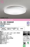 OL291554NGR