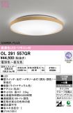 OL291557GR