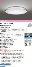 OL291579BR